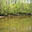 Chattahoochee-river-fishing_small